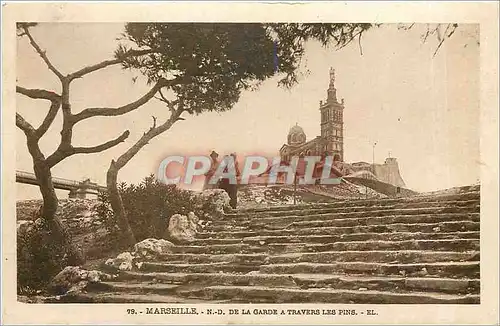 Cartes postales MARSEILLE N.-D De la Garde � travers les Pins