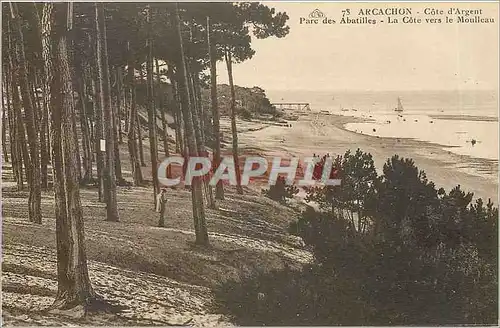Cartes postales ARCACHON - C�te d'Argent Parc des Abatilles - La C�te vers le Moulleau
