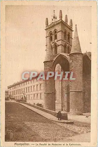 Cartes postales Montpellier - La Facult� de M�decine et la Cath�drale