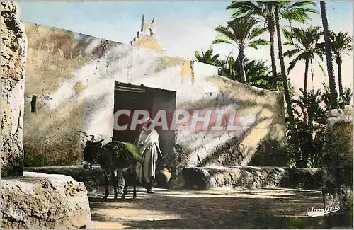 Cartes postales moderne SCENES & TYPES Gourbi dans l'Oasis Ane Mule