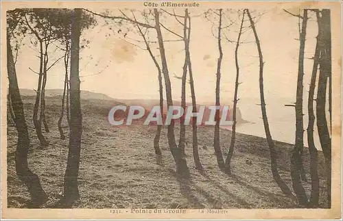Cartes postales Pointe du Grouin - La Mouti�re