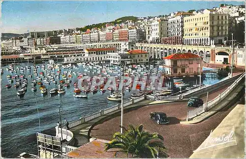 Moderne Karte Alger - Vue g�n�rale