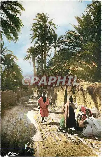 Cartes postales moderne COLLECTION ARTISTIQUE L'AFRIQUE Dans l'Oasis
