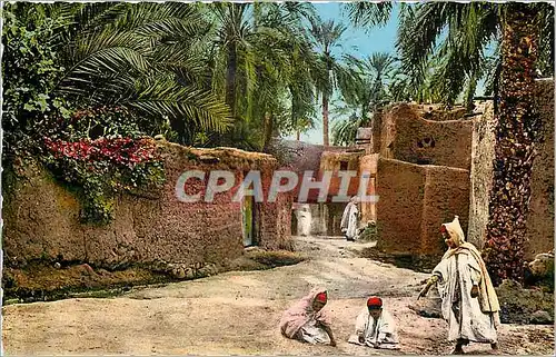 Cartes postales SCENE ET TYPES. D'Afrique du Nord. Sc�ne de la vie arabe