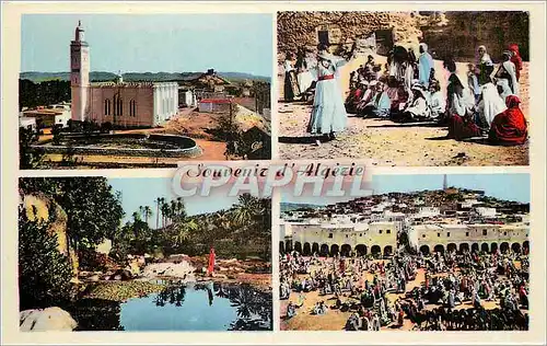 Cartes postales moderne Souvenir d'Alg�rie