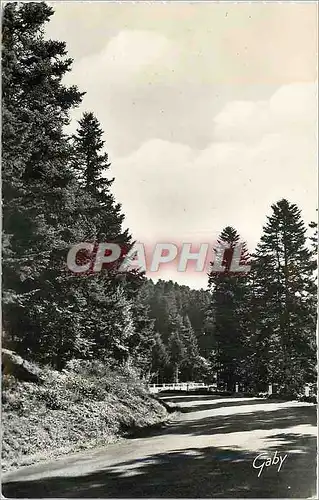 Cartes postales moderne Langeac (Haute-Loire) Route de Langeac au Puy