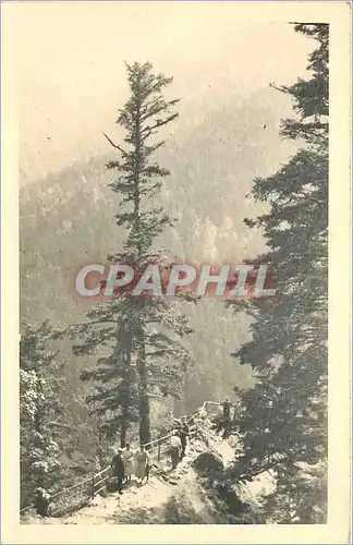 Cartes postales Alpinisme