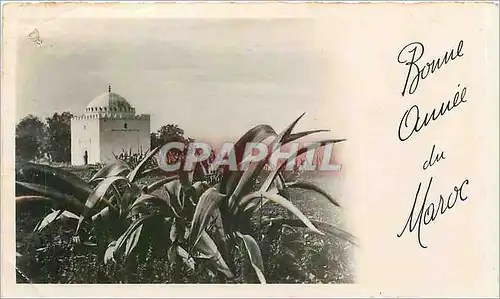 Cartes postales Bonne Ann�e du Maroc