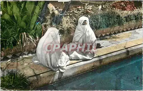 Cartes postales moderne Alger (El Djezair) Mauresque au Bardo