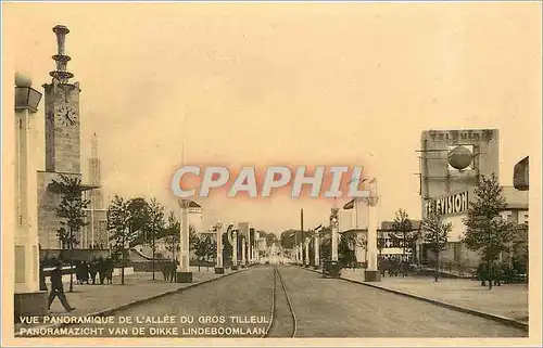 Cartes postales Vue panoramique de l'All�e du Gros Tilleul Bruxelles