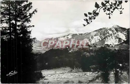 Cartes postales moderne Mont Louis P O Paturage aux pied de Mont Louis