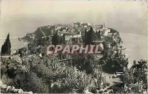 Cartes postales moderne La Principaute de Monaco Monaco le Rocher