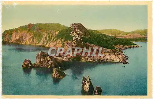 Cartes postales Hyeres les Palmiers Var Bord de Mer