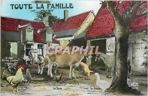 Cartes postales Toute la Famille Ferme Vache Coq Ane Mule Chien Vache Dinde Chat Chaton