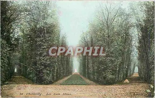 Cartes postales Chantilly les trois Allees