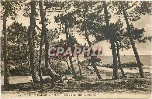 Cartes postales St Palais sur Mer sous bois aux Pierrieres
