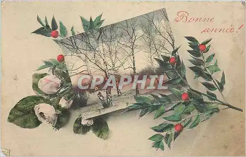 Cartes postales Bonne Annee Fleurs