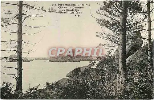 Cartes postales Ploumanach C du N Chateau de Costaeres