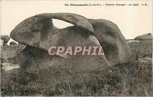 Ansichtskarte AK Ploumanach C du N Rochers etranges le Lapin