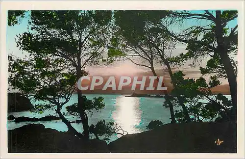 Cartes postales St Raphael Coucher de Soleil