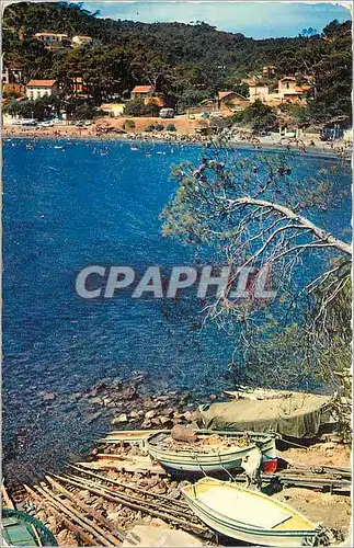 Cartes postales Lumiere et Beaute de la Cote d'Azur Pittoresques Calanques de Fabregas