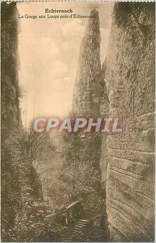 Cartes postales Echternach la Gorge aux Loups pres d'Echternach