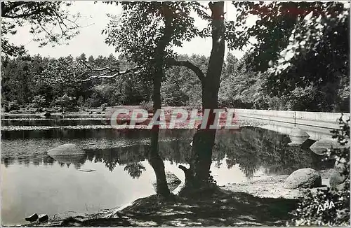 Cartes postales moderne En Parcourant le Sidobre Tarn le Lac du Merle