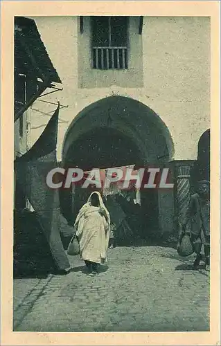 Cartes postales Une Rue Algerie