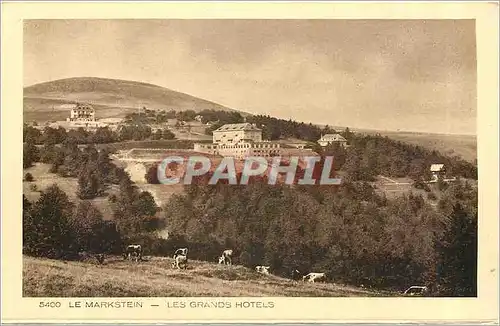 Cartes postales Le Markstein les grands hotels