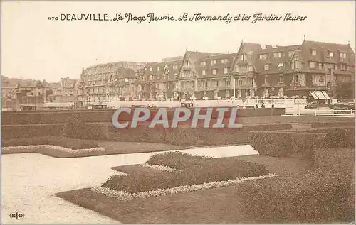 Cartes postales Deauville la plage fleurie le normandy et les jardins fleuris