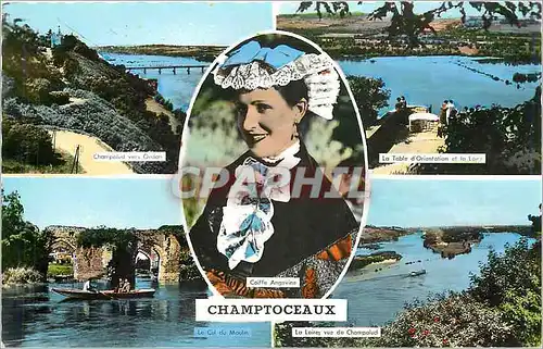 Cartes postales moderne Champtoceaux Champalud vers Oudond La table d'orientation et la Loire LA Loire