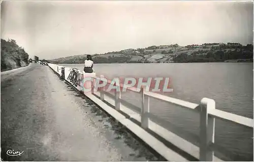 Cartes postales moderne Lac de Paladru Isere Bords du Lac