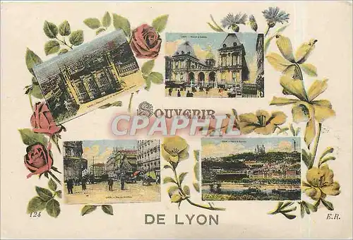 Cartes postales Souvenir de Lyon