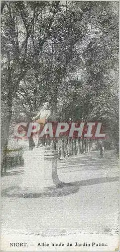 Cartes postales Niort Allee Haute du Jardin Public