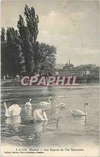 Cartes postales Geneve les Cygnes de l'Ille Rousseau