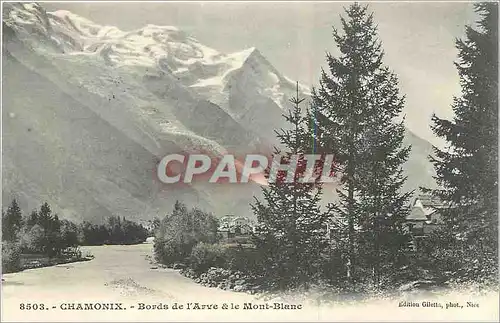 Cartes postales Chamonix Bords de l'Arve et le Mont Blanc