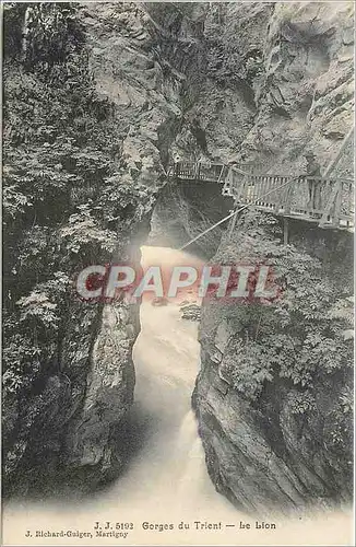 Cartes postales Gorges du Trient le lion