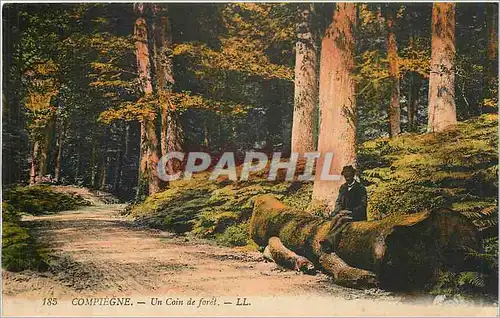 Cartes postales Compiegne Un coin de foret