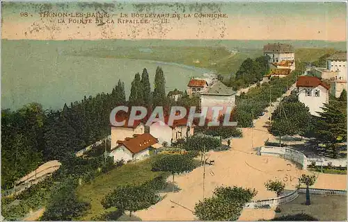 Cartes postales Thonon les Bains le boulevard de la corniche la pointe de la