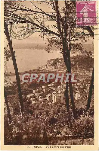 Cartes postales Nice vue entre les pins