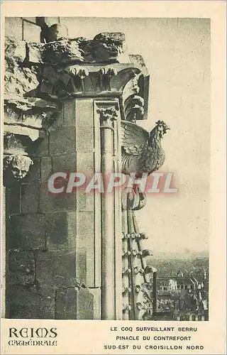 Cartes postales Reims cathedrale Le Coq Surveillant Berru princioal du Contrefort Sud Est du Croisillon Nord