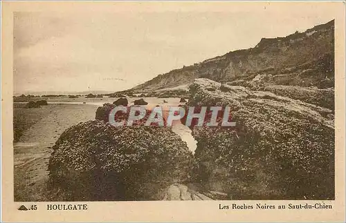 Cartes postales Houlgate Les Roches Noires au Saut du Chien