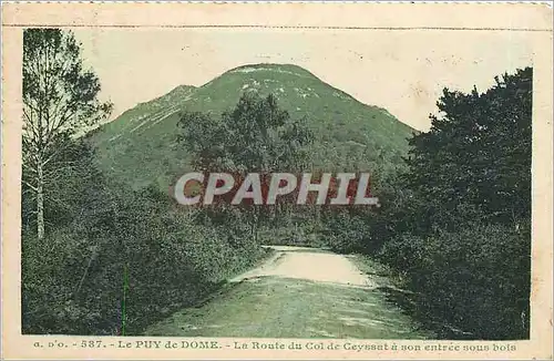 Cartes postales Le Puy de Dome La Route du Col de Ceyssat a son entree sous bois