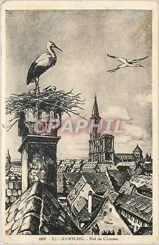 Cartes postales Strasbourg Nid de Cigognes