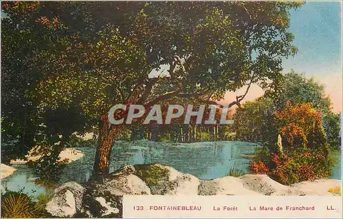 Cartes postales Fontainebleau La Foret La Mare de Franchard