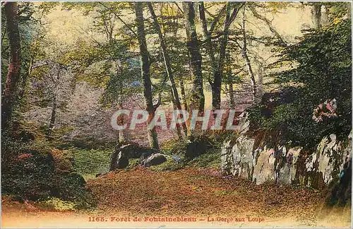 Ansichtskarte AK Foret de Fontainebleau La Gorge aux Loups