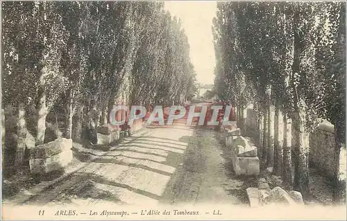 Ansichtskarte AK Arles Les Alyscamps L'Allee des Tombeaux