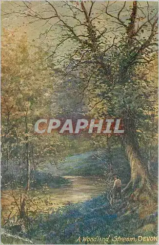 Cartes postales A Woodland Stream Devon