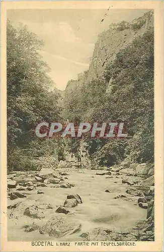 Cartes postales Bodetal I Harz Partie mit Teufelsbrucke