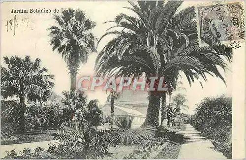 Cartes postales Jardin Botanico de Lisboa